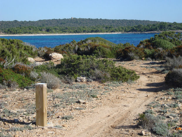 naturaleza menorquina camí de cavalls